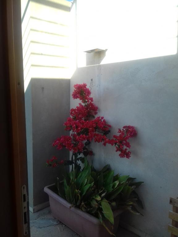 Casa Dei Fenicotteri Villa Marausa Luaran gambar